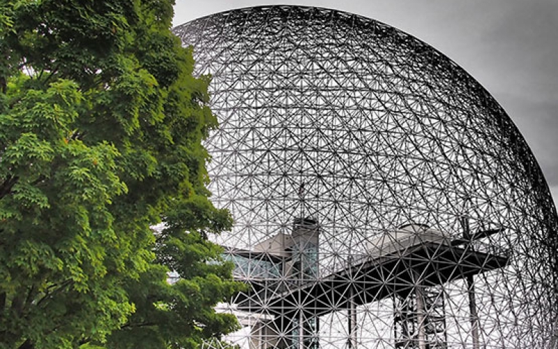 魁省雇主担保CSQ成功案例